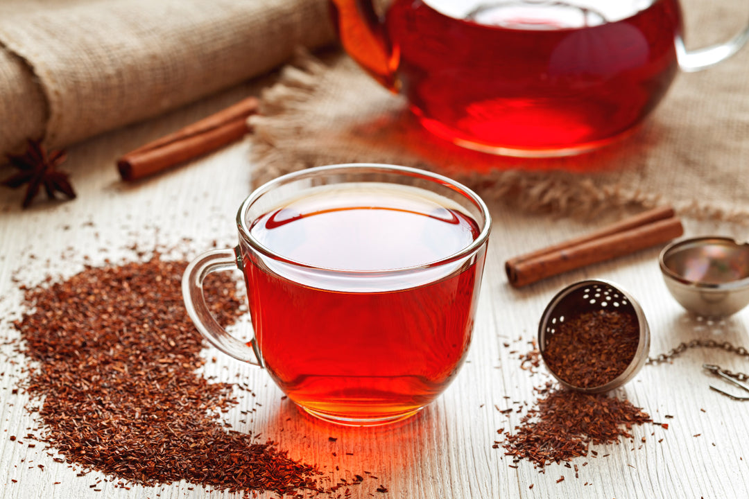 Les bienfaits et l'histoire du Rooibos : une plante aux mille vertus