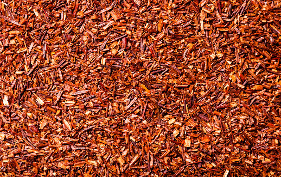 Rooibos Bio