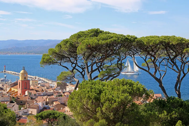 SAINT-TROPEZ - Thé vert / Citron / Menthe